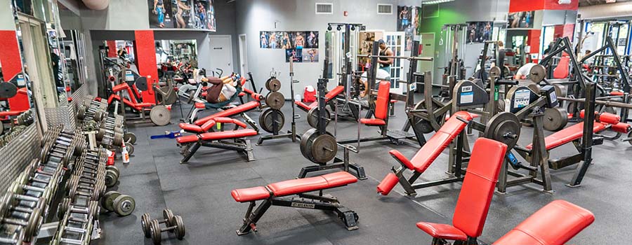 14 Best Gyms in Miami, Florida For Workout