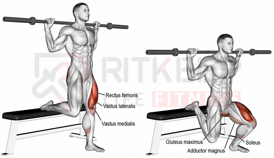 Bulgarian Split Squat