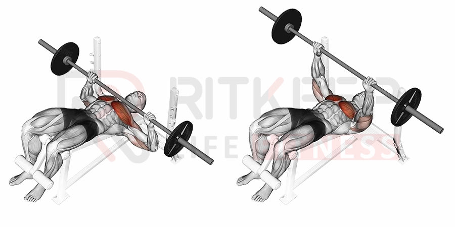 Decline Dumbbell Bench Press