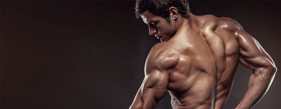 6 Best Shoulder Workout Routine To Build Strength: Forms, Mistakes & Tips