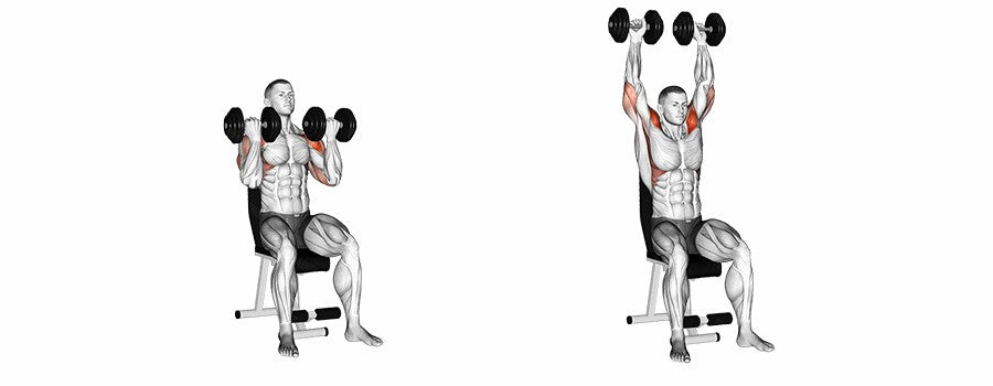 6 Best Shoulder Workout Routine To Build Strength: Forms, Mistakes & Tips