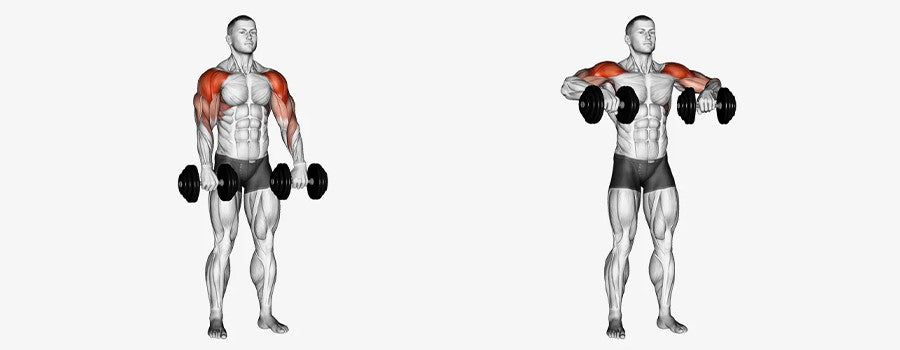 6 Best Shoulder Workout Routine To Build Strength: Forms, Mistakes & Tips