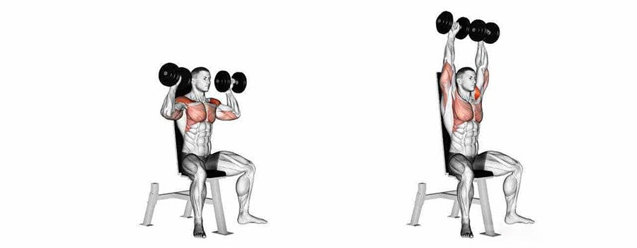 6 Best Shoulder Workout Routine To Build Strength: Forms, Mistakes & Tips
