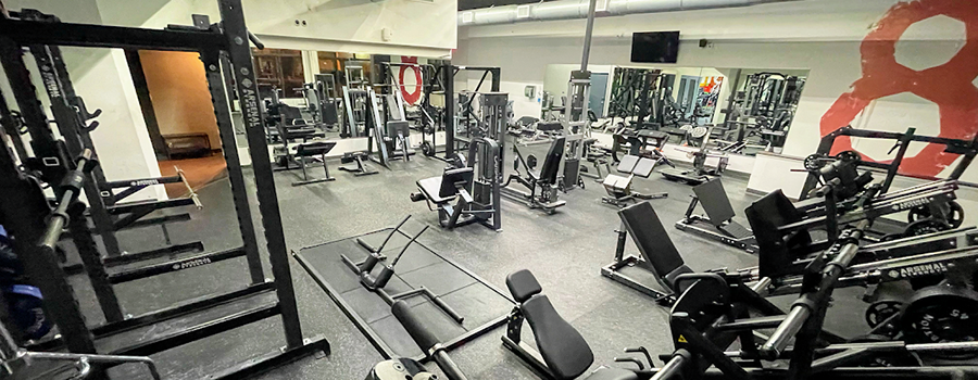 14 Best Gyms in Miami, Florida For Workout