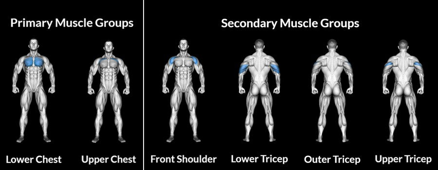 How To Do Bench Press On Smith Machine: Forms, Muscles, Benefits& Variations