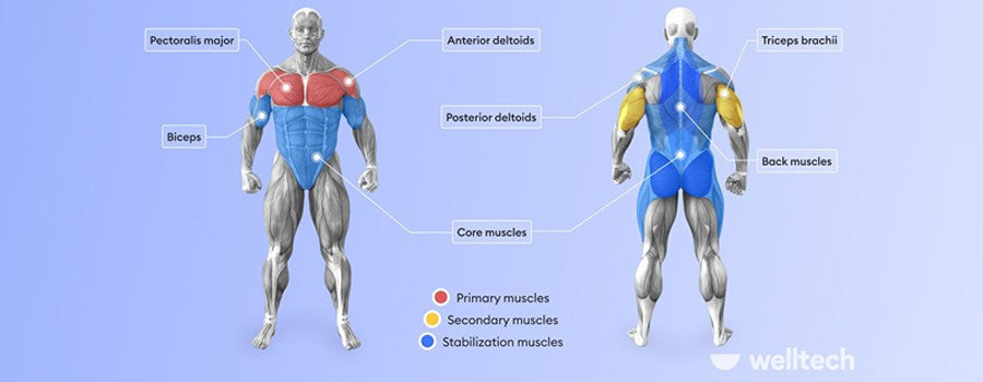 How To Do Bench Press On Smith Machine: Forms, Muscles, Benefits& Variations