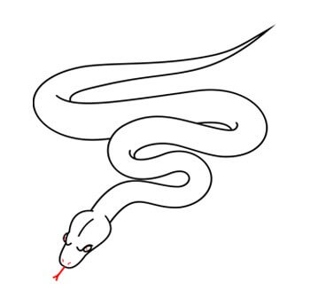 etape 4 - dessiner serpent