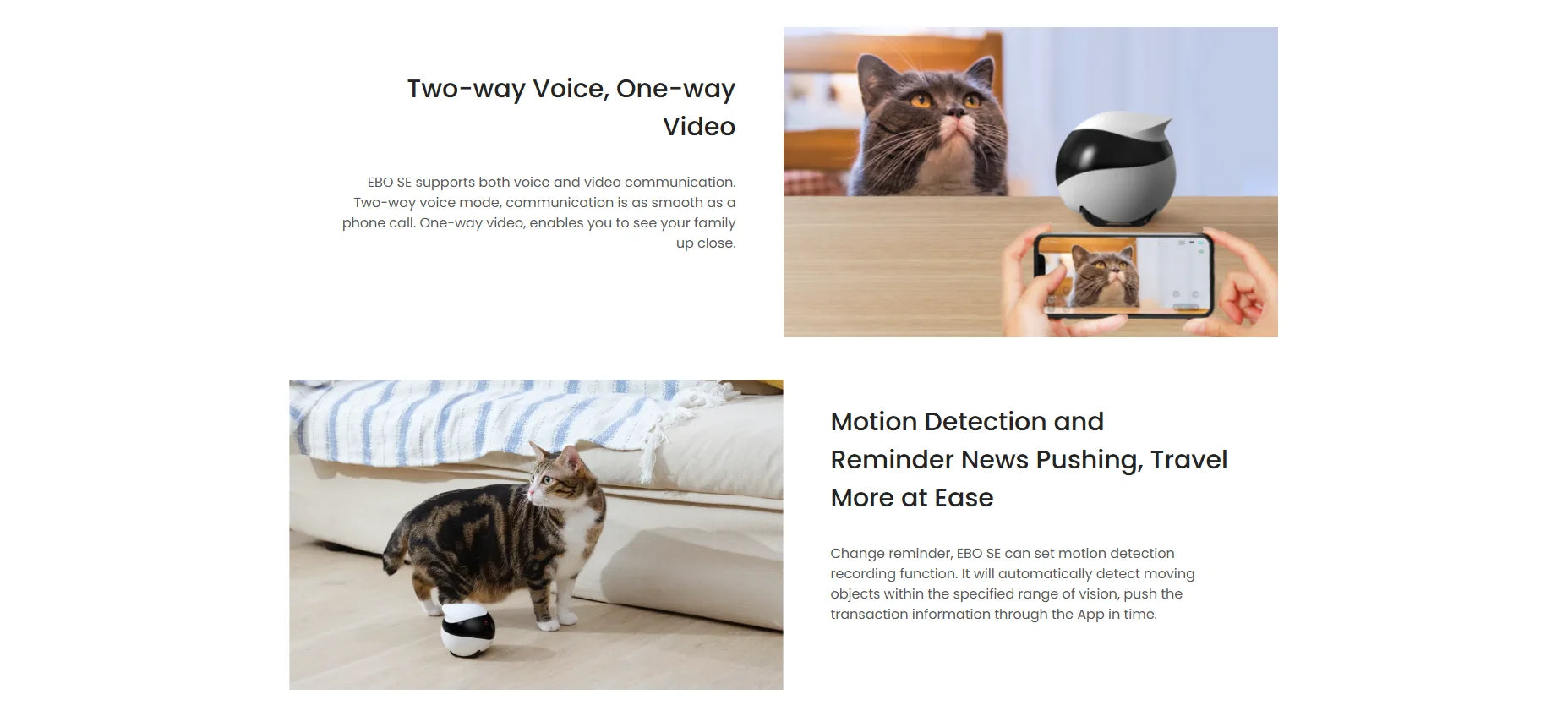 Enabot EBO Wireless Camera Robot - SmartPursue™