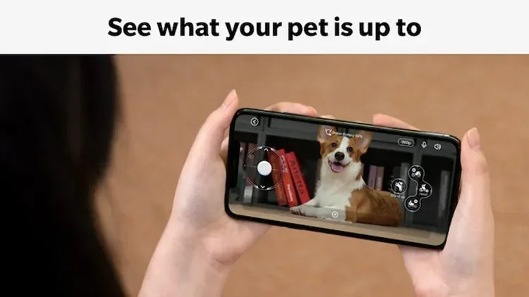 Loona Intelligent Pet Robot – AI Virtual Companion - SmartPursue™