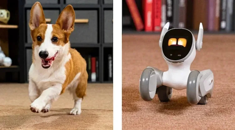 Loona Intelligent Pet Robot – AI Virtual Companion - SmartPursue™