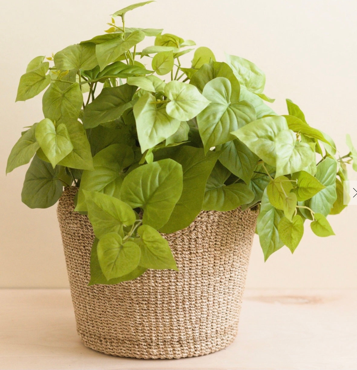 Basket - Handwoven Natural Scallop Basket