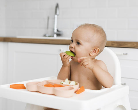 solid food for toddlers