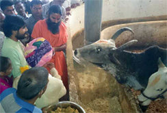 Eshwar Bhakti priest with Baba Ramdev