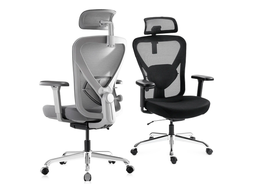 Q1 Ergonomic Office Chair