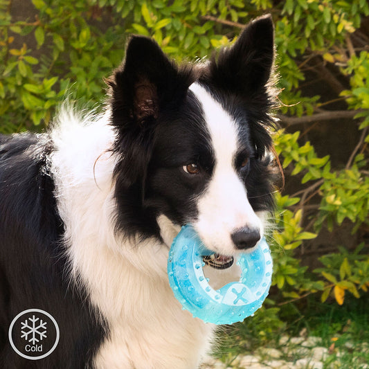 2-In-1 Treat Dispenser Toy for Pets – Le WoofClub