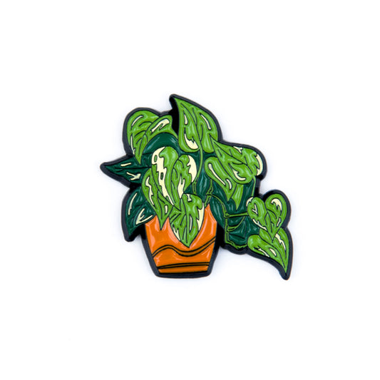 Plant pin №17 – PINOTAGE pins