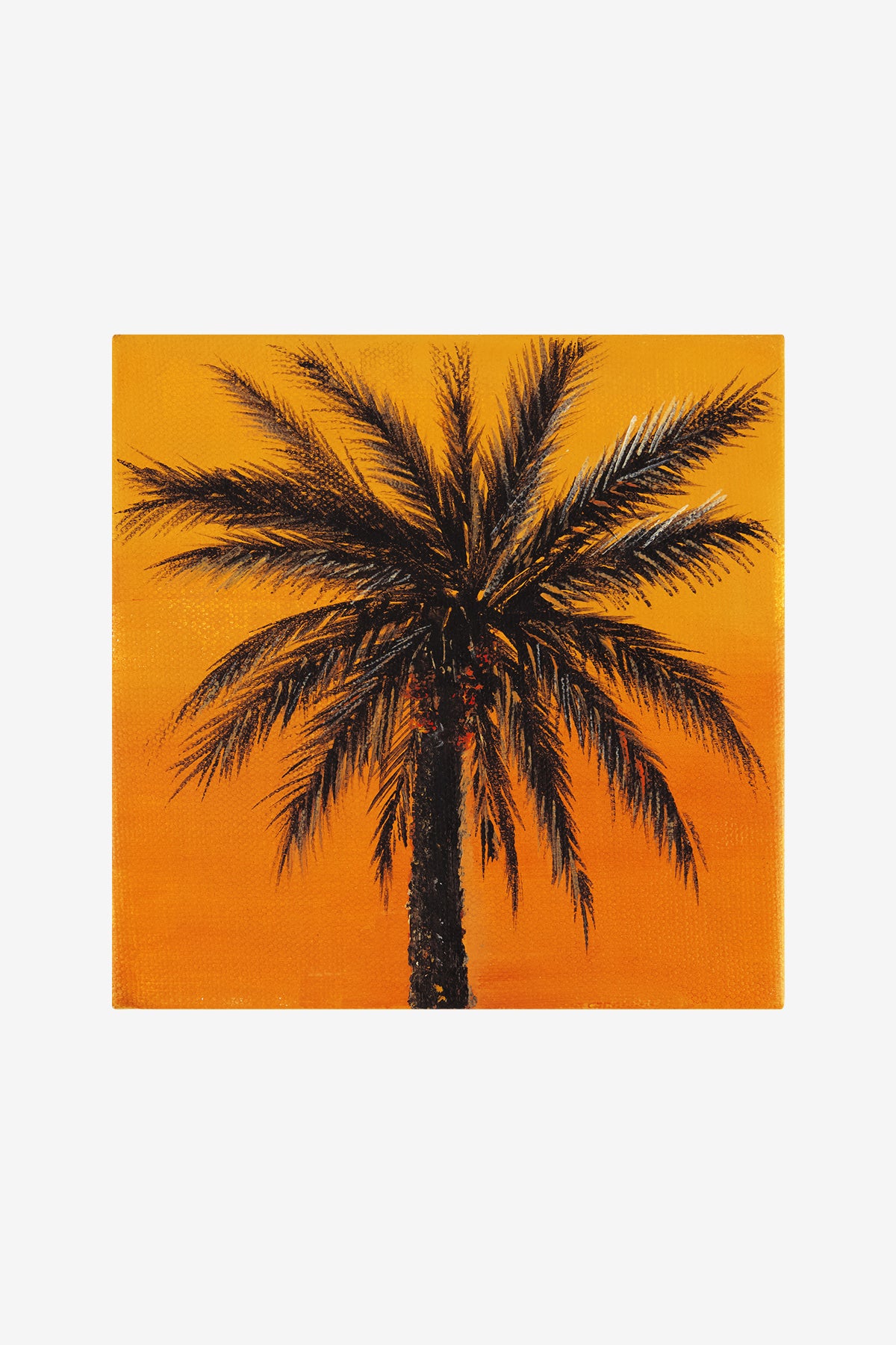 Palm at Sunset