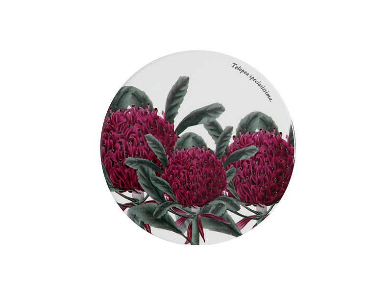 Royal Botanic Gardens Australian Botanics Ceramic Round Coaster 9.5cm Telopea