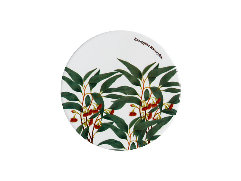 Royal Botanic Gardens Australian Botanics Ceramic Round Coaster 9.5cm Flowering Gum