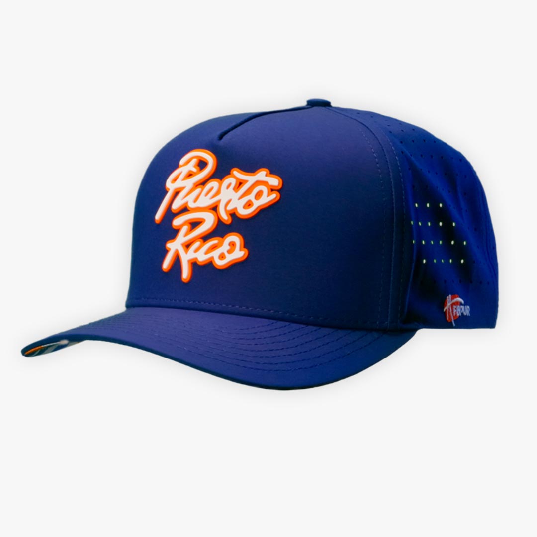 PR Panevo Brand Dried Tech – Cap