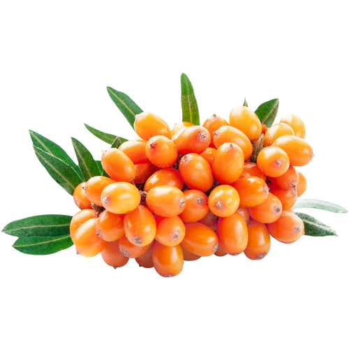 Vitamin Tree Fruit 2.png__PID:61efd8f6-d40c-49de-bd09-1bdef943d657