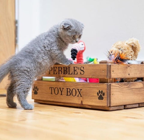 Pet Toy Boxes