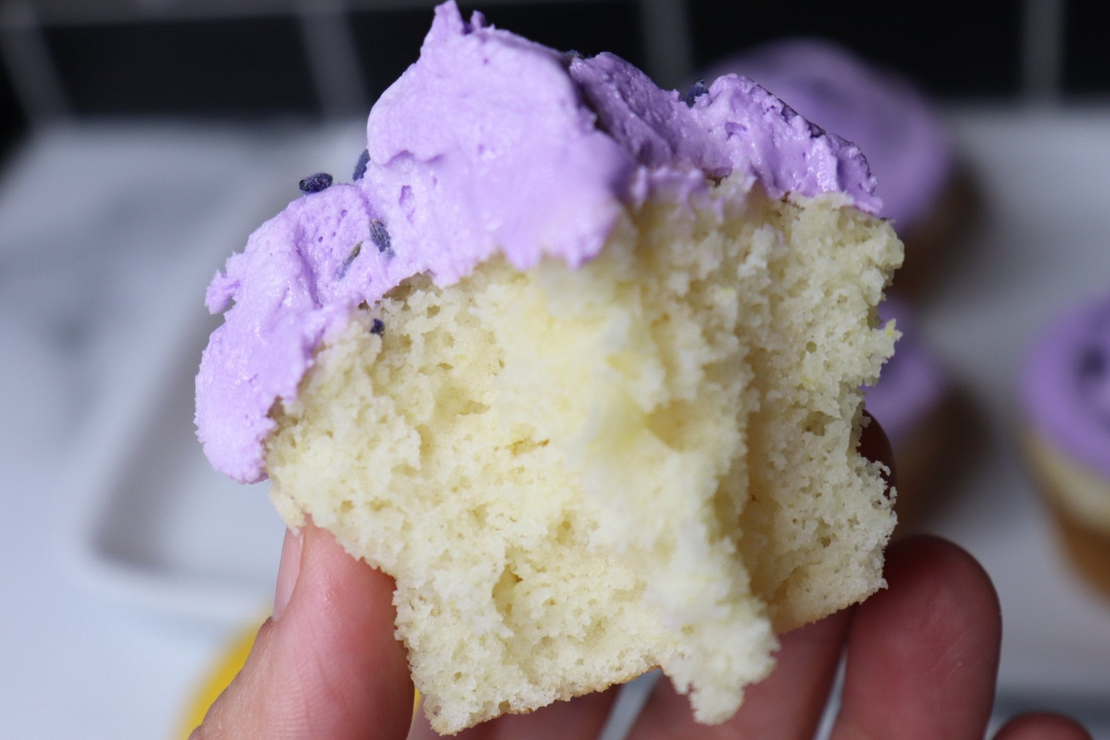 fluffy lemon cupcake with lavender frosting
