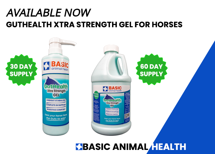 Guthealth Xtra Strength for Horses