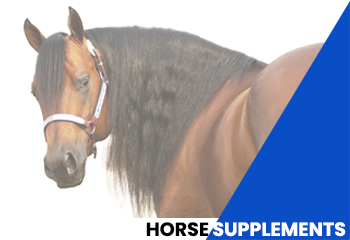 Horse Supplements
