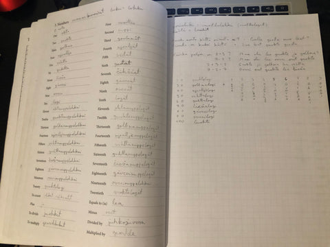 Northern Sami notes chapter 3 numbers