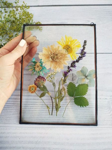 plants in a frame