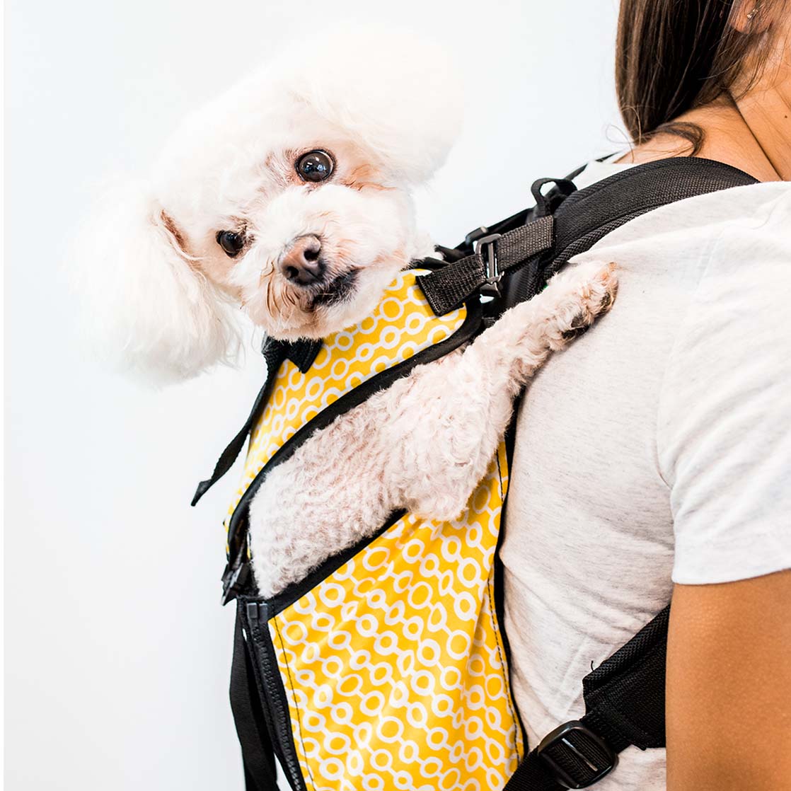 ruffit dog carrier amazon