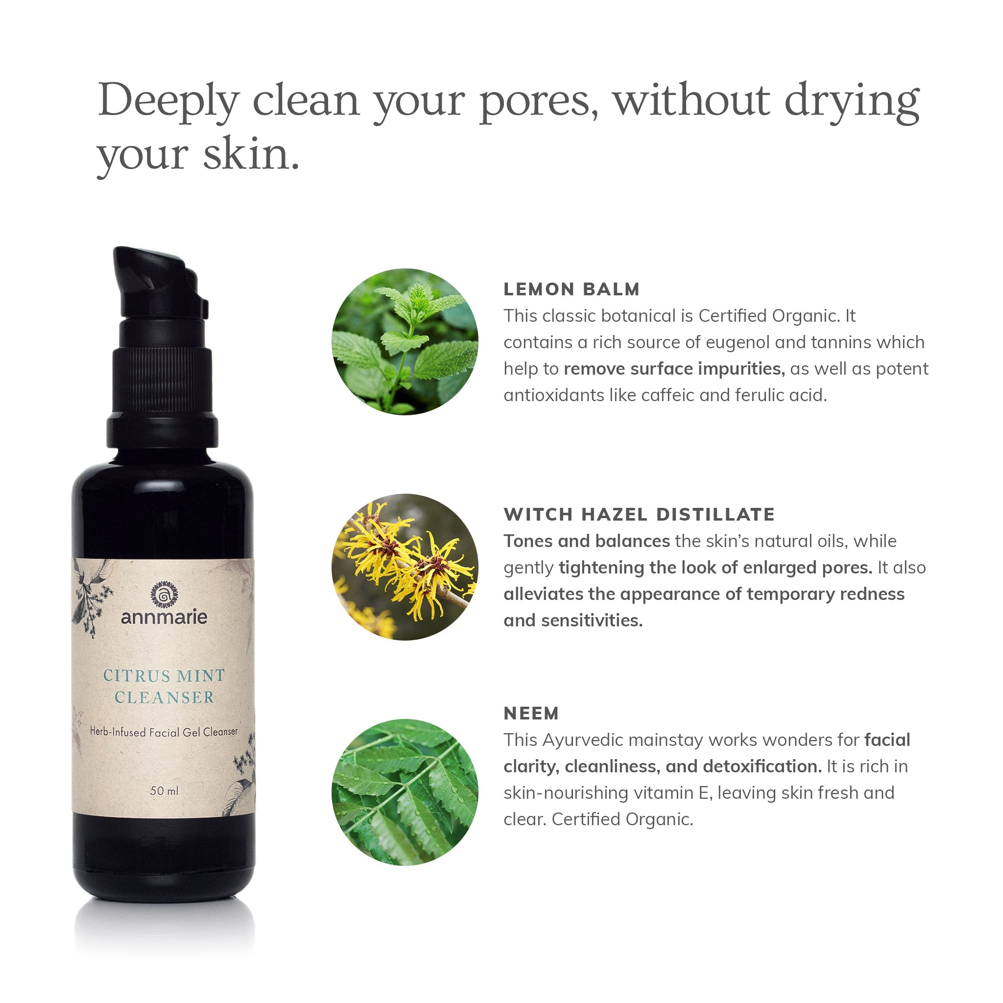 Citrus Mint Cleanser (50ml) - Skin Assessment