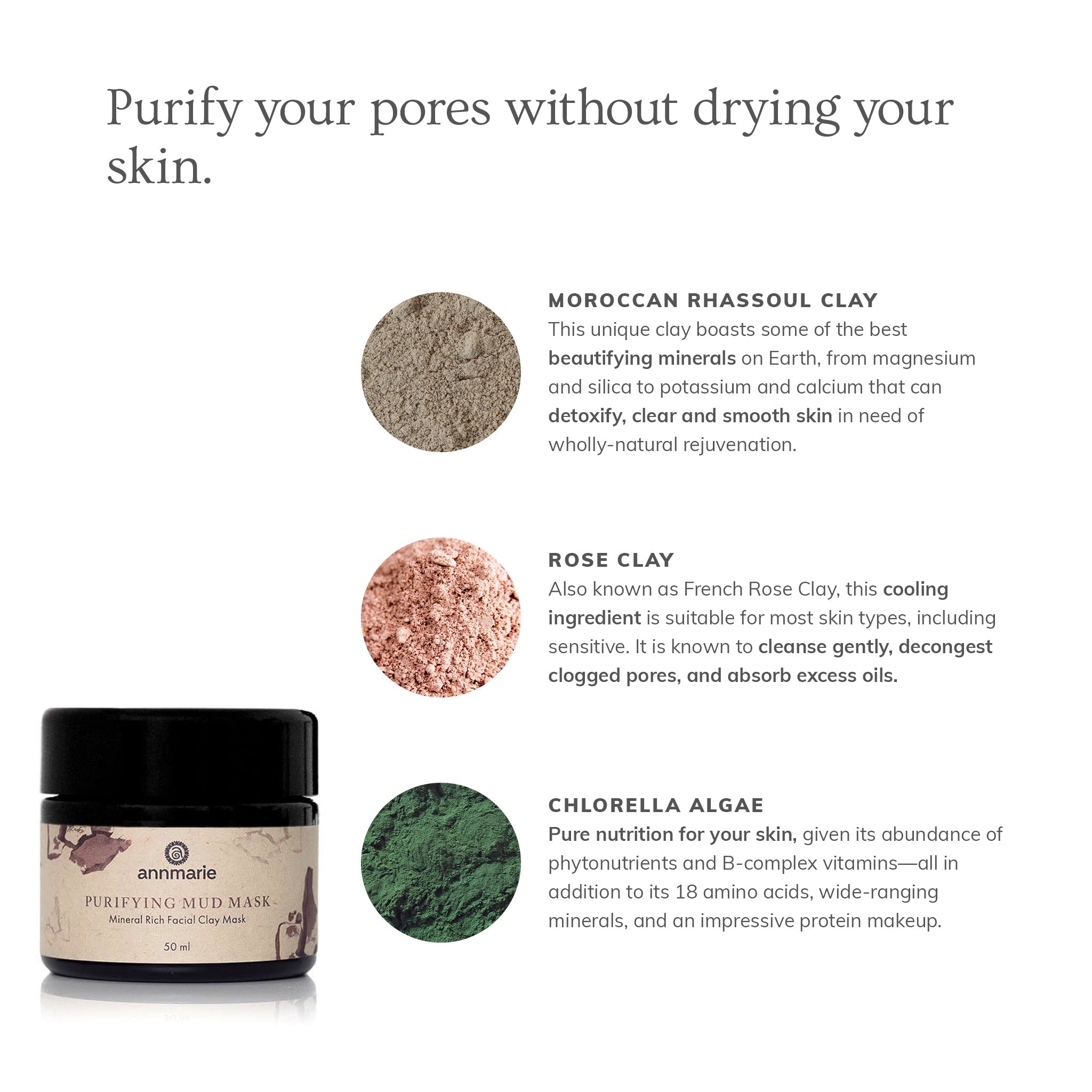 Purifying Mud Mask (50ml) - Skin Assessment