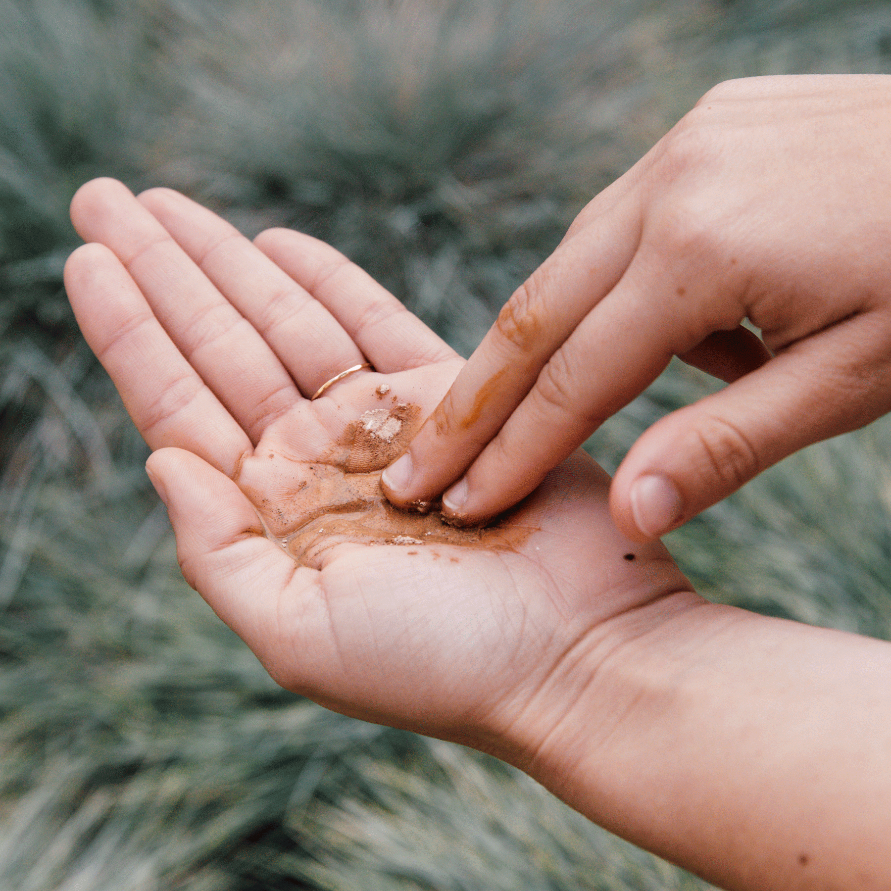 Purifying Mud Mask (50ml) - Skin Assessment