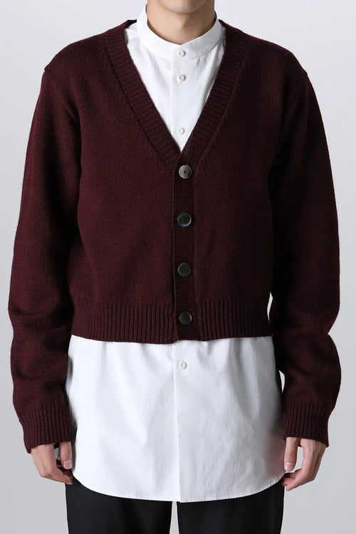 shetland wool cropped cardigan Bordeaux - TAKAHIROMIYASHITATheSoloIst