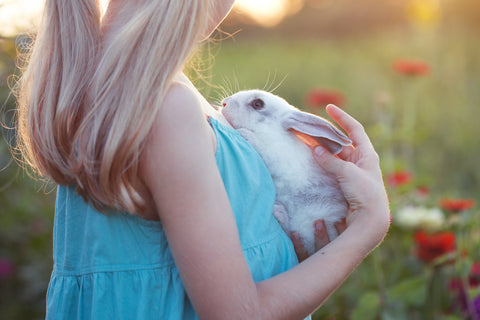 un lapin dans les bras d'une fillette
