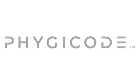 Phygicode logo