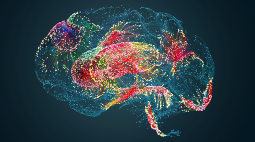 Färgglad visualisering av hjärnan