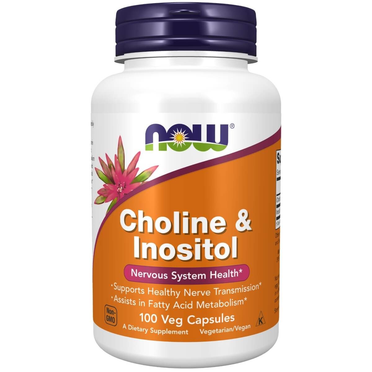 Photos - Vitamins & Minerals Now Foods Choline & Inositol 500 mg 100 Veg Capsules NW18 