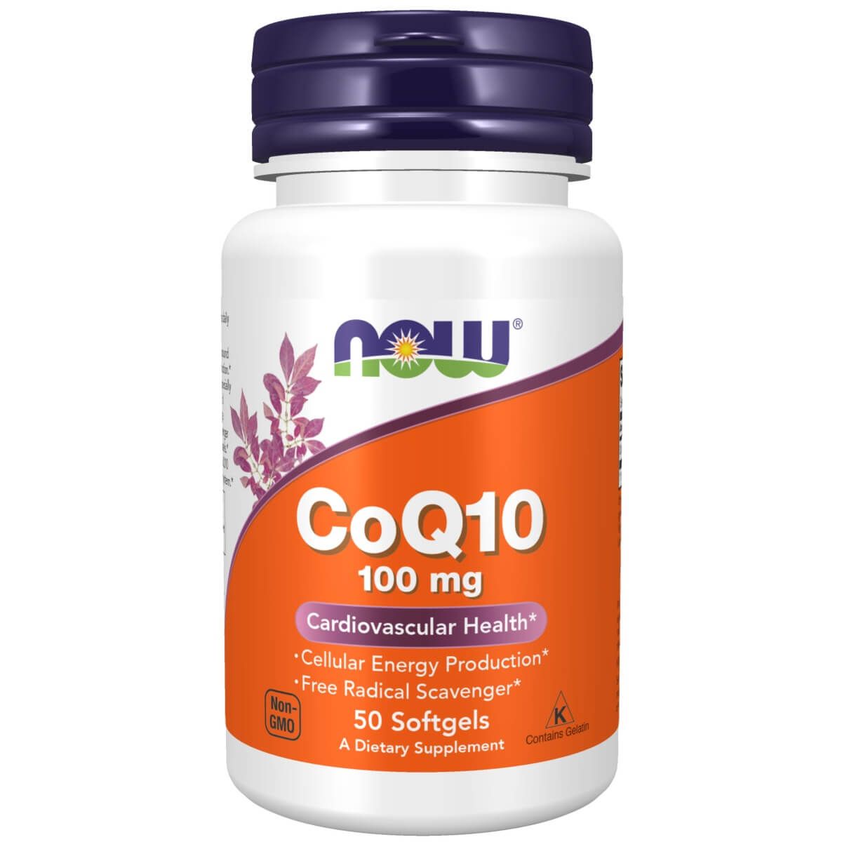 Photos - Vitamins & Minerals Now Foods CoQ10 100 mg 50 Softgels PBW-P29196 