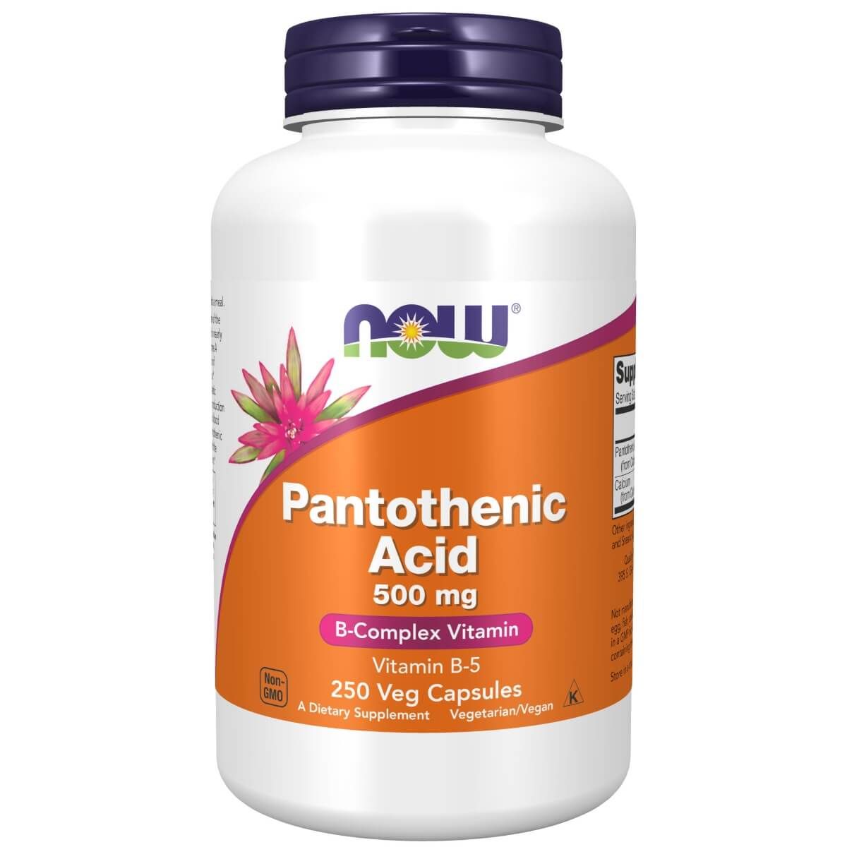Photos - Vitamins & Minerals Now Foods Pantothenic Acid  500 mg 250 Capsules NW09 (Vitamin B-5)