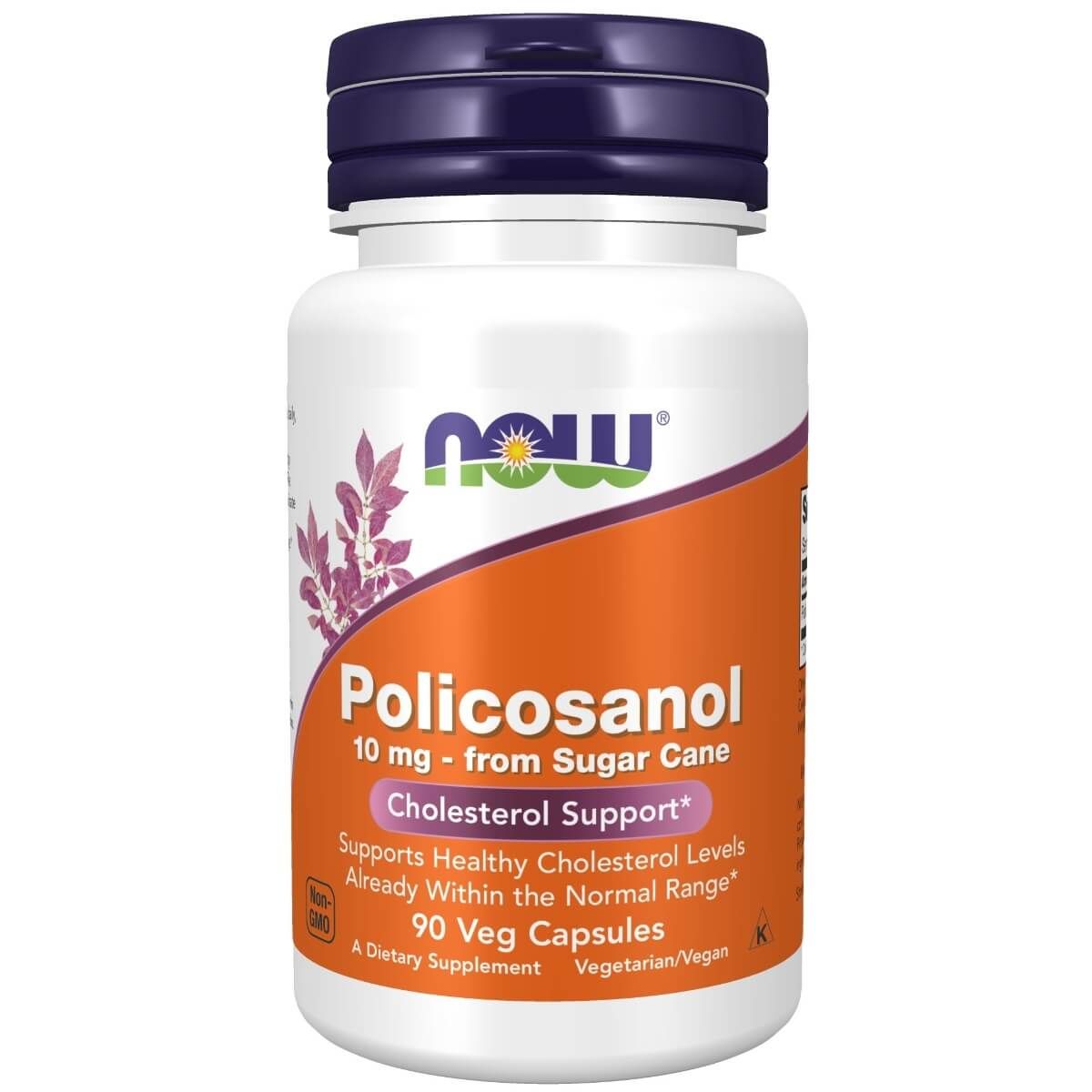 Photos - Vitamins & Minerals Now Foods Policosanol 10 mg 90 Veg Capsules VH--3070 