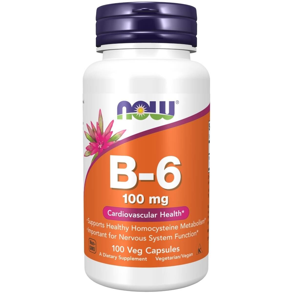 Photos - Vitamins & Minerals Now Foods Vitamin B-6  100 mg 100 Veg Capsules PBW-P27052 (Pyridoxine HCl)