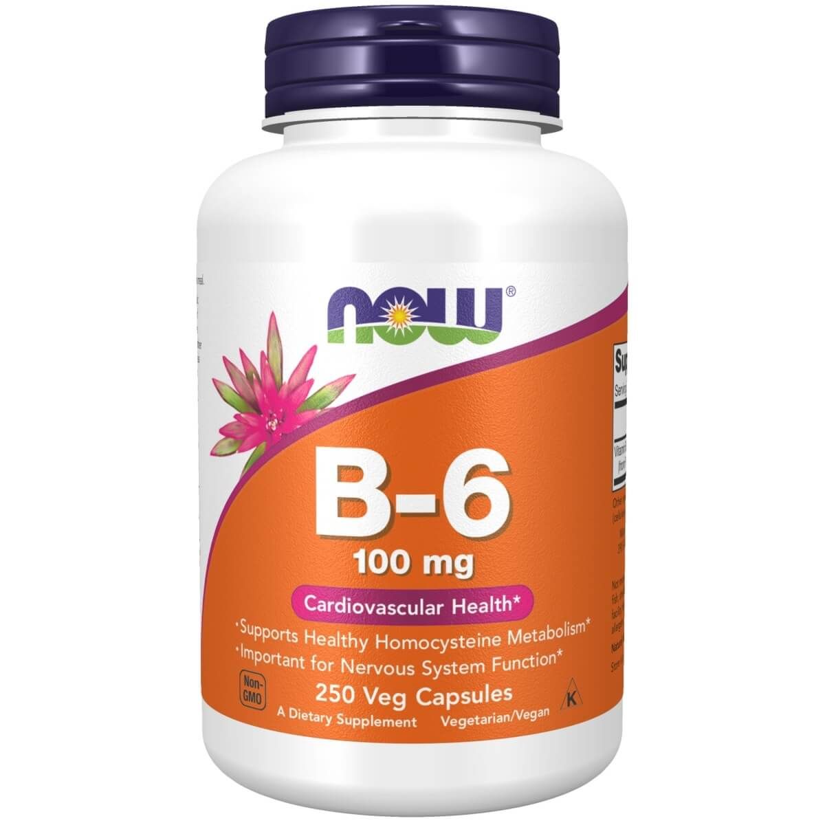 Photos - Vitamins & Minerals Now Foods Vitamin B-6  100 mg 250 Veg Capsules PBW-P5486 (Pyridoxine HCl)