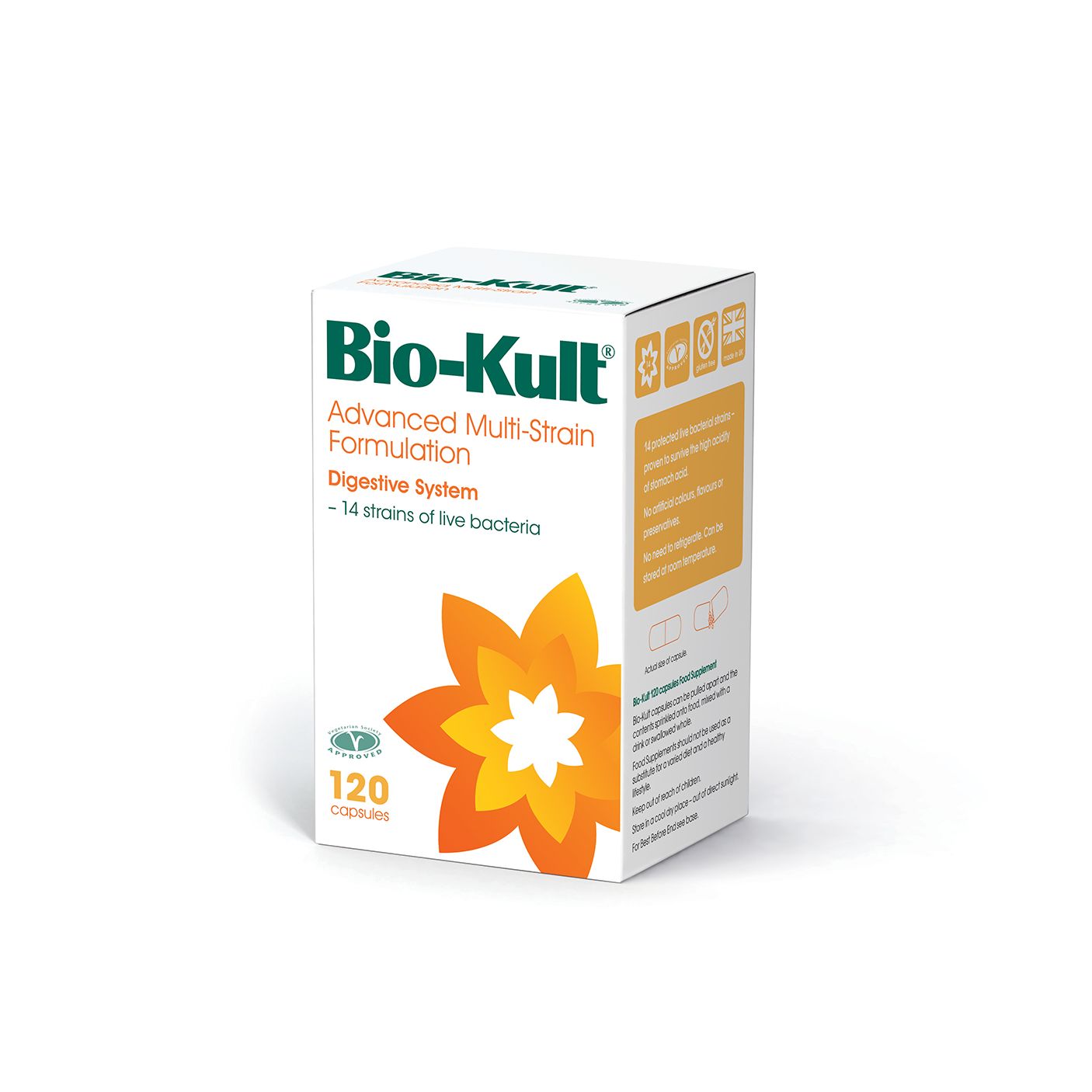 Photos - Vitamins & Minerals Bio-Kult Advanced Multi-Strain Formula 120 Capsules 3482999