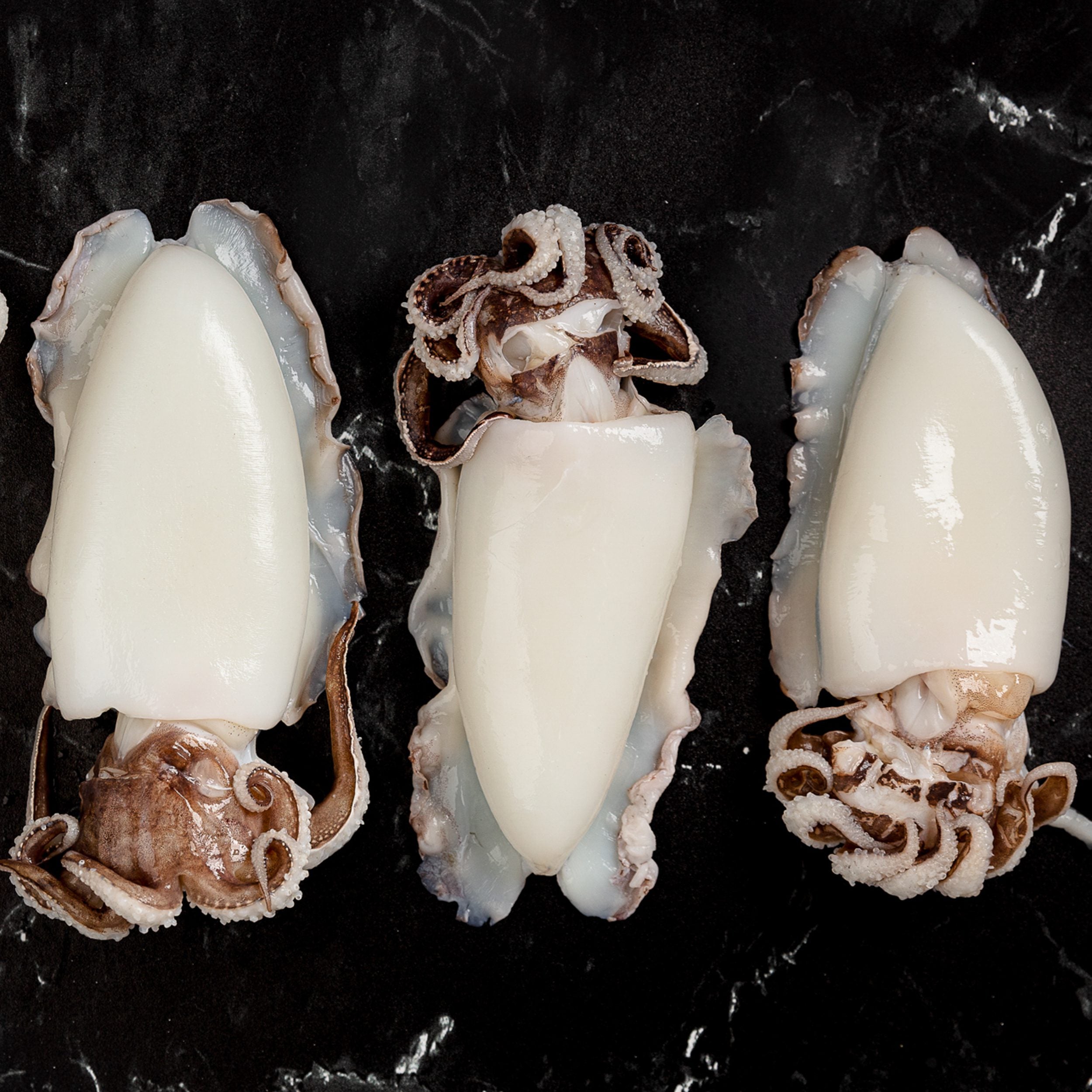 Purchase Delicious, Fresh cuttlefish head in Bulk 