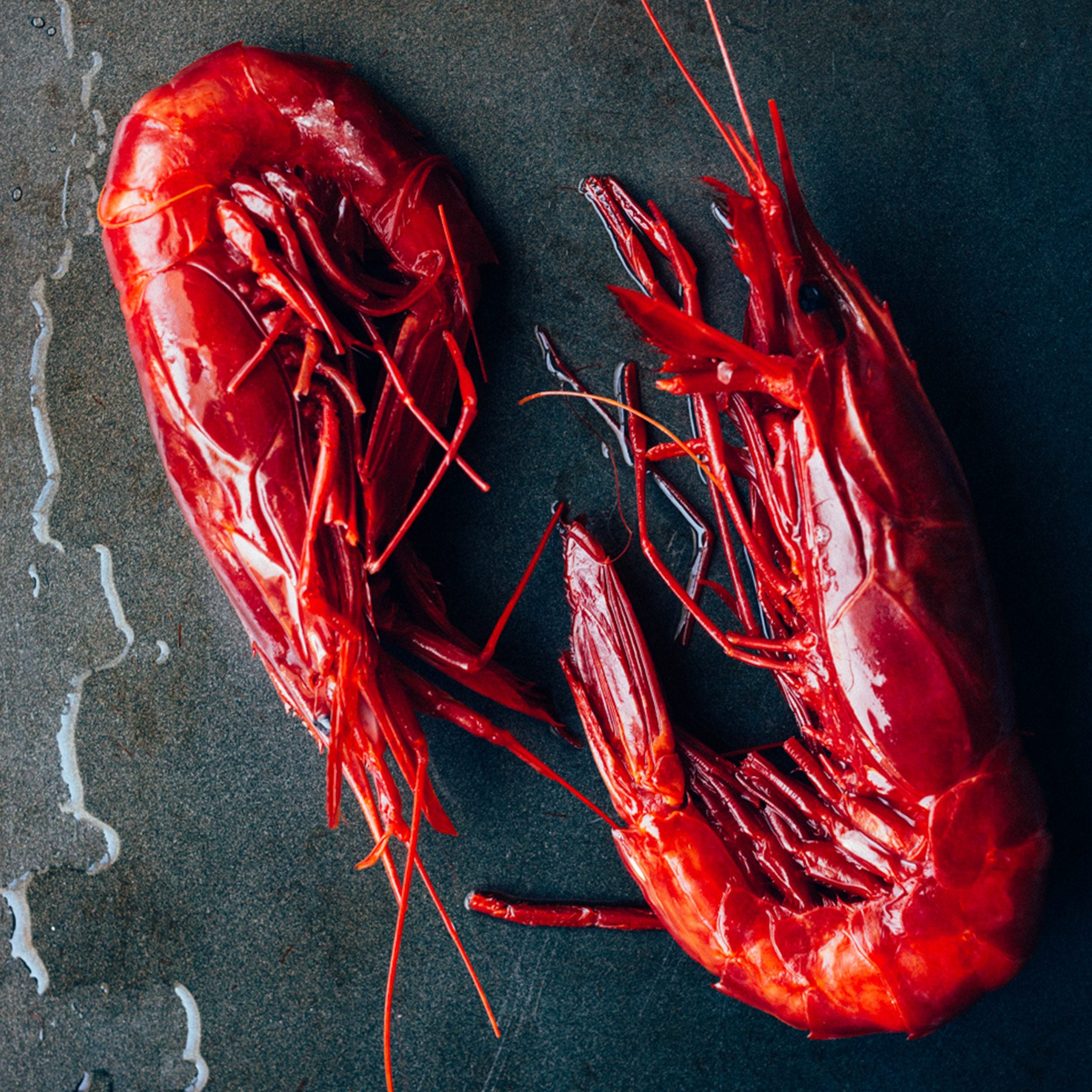 Carabineros Prawns - Browne Trading Company product image