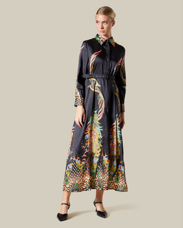 Picture of Fantastical Printed Shirt Dress