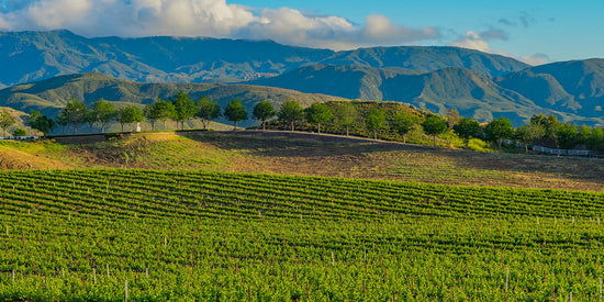 Lieux de mariage à Temecula